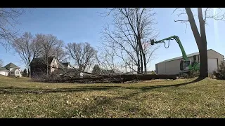 Knocking over trees ￼