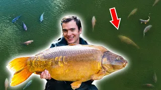 Fishing At My Dream Lake! - Carl vs Alex Ep1 S2