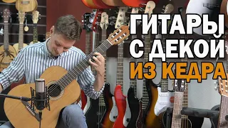 Классические гитары из кедра для начинающих: Kremona, Strunal, Alhambra