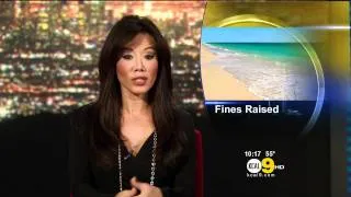 Sharon Tay 2012/02/07 KCAL9 HD; Black top