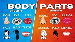 Parts of the Body in Spanish & English | Learn Spanish & English Easily!"