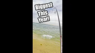 How I Caught My BIGGEST Fish!! fishing saltwater bluefish