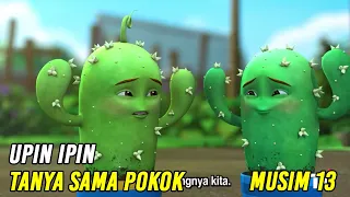 Upin & Ipin Tanya Sama Pokok Episode Terbaru 2020 | Upin Ipin Terbaru 2020 | Musim 13