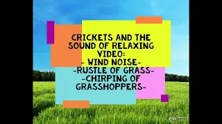 Sounds of nature, grasshoppers, crickets! Звуки природы, кузнечики, сверчки, шум травы и ветра!