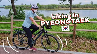 Biking along the Anseong River in Pyeongtaek, South Korea