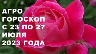 Агрогороскоп с 23 по 27 июля 2023 года. Агрогороскоп з 23 по 27 липня 2023 року