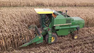 😍Moisson de maïs 🌽 à l'ancienne/John Deere 975 💨