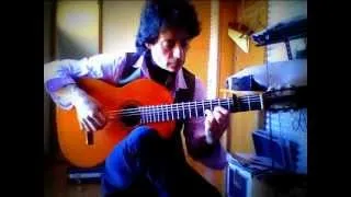 ROBERTO VALLE- Lezioni di chitarra:  La pulce d'acqua. A. Branduardi.