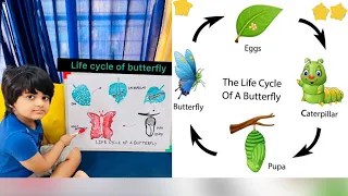 Life Cycle of Butterfly || PreSchool Learning#kids#Science#education#aumsum#whatif