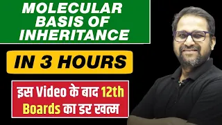 MOLECULAR BASIS OF INHERITANCE iin One Shot | BEST for Class 12 Boards