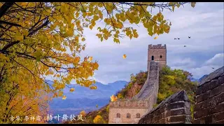 古琴《梧叶舞秋风》李祥霆 / Traditional Chinese Music, Guqin “Leaves Dancing in the Autumn”: LI Xiang Ting