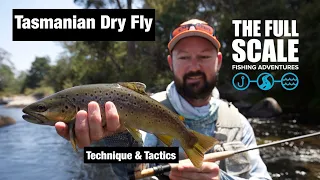 Dry Fly Fishing The Leven River | The Full Scale