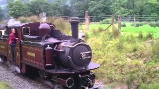 double fairlie(Merddin Emrys) in beddgelert 1