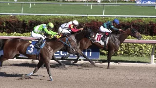 Gulfstream Park Replay Show | December 28, 2016