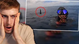 Reacting to 6 Shark Encounters That Will Haunt You