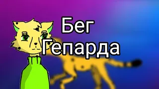 Анимацыя Бега Гепарда