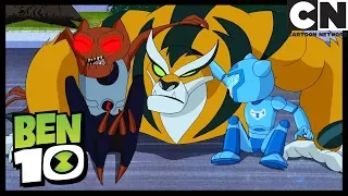 Caminho Tortuoso Parte 1 | Ben 10 em Português Brasil | Cartoon Network