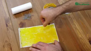Клеевые биоловушки от вредителей. Инструкция по применению "Желтого ловкача"