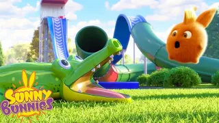 Crocodile Escape | SUNNY BUNNIES | Cartoons for Kids | WildBrain Zoo