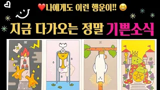 [타로]🎊🎉🥳다가올 기쁜소식 미리 만나보세요😄❤️