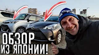 TANK 4WD | VITZ | FREED | PASSO | ХОККЕЙ АДМИРАЛ-СИБИРЬ