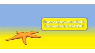 Funny facts you didnt know about starfish!