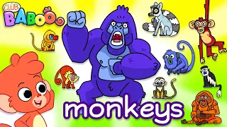 Monkeys for kids | Learn Wild Animals Names and Sounds | Gorilla Chimpanzee cartoon