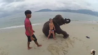 Купание со слоником Пхукет-Тайланд