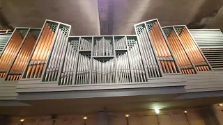 orgue de la basilique Saint-Pix X à Lourdes #video