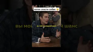 хотел спасти собак 🥹 🎥🍿Название: Белый плен #фильм#кино#сериал