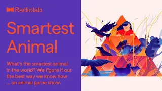 The World's Smartest Animal | Radiolab Podcast