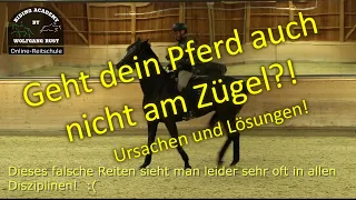 F84 Dein Pferd geht nicht durchs Genick und nicht am Zügel? Reiterfehler bei Anlehnungsproblemen.