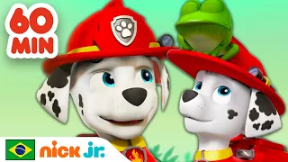 Patrulha Canina | 1 hora dos melhores resgates do Marshall! | Nick Jr. em Português