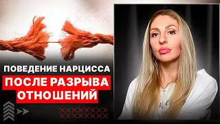 Реакции Нарцисса после разрыва отношений  💔