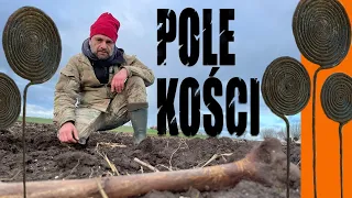 POLE KOŚCI