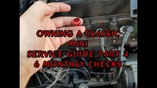 Owning a Classic Mini: Service Guide Part 4, 6 Monthly Checks