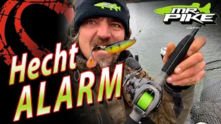 Hecht ALARM am BAGGERSEE | 24 Stunden Hechtangeln im Winter | Deadbaiting & Gummifisch