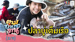 กู้เบ็ดราวได้ ปลาบู่ เต็มเรือ | ตามอำเภอจาน | 12 มิ.ย.64 (2/3)