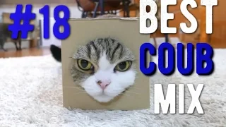 best coub mix #18