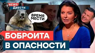 ⚡️ На СИМОНЬЯН и СОЛОВЬЕВА открыли ОХОТУ | News ДВЕСТИ