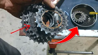 full Freewheel Servicing | Disassembly freewheels and Cogs