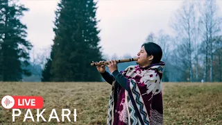 Pakari (Yupanki) - Andean Flutes Music