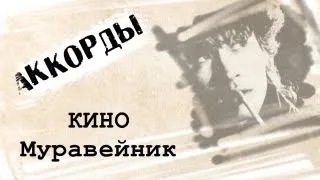 Виктор Цой Муравейник аккорды 🎸 кавер табы как играть на гитаре | pro-gitaru.ru