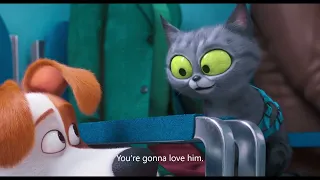 The Secret Life of Pets 2 – Max fells betrayed – I don’t want to go the Vet!