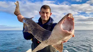 Winter Boat Fishing 2021 - Fishing for Cod, Conger, Wrasse, Huss and more.