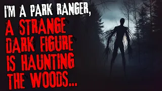 I'm a park ranger, a strange dark figure is haunting the woods...