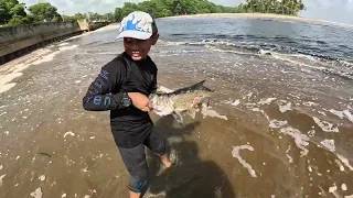 FISH AFTER FISH IN MANZANILLA !!! Fishing A River Mouth On The East Coast Of Trinidad - Caribbean
