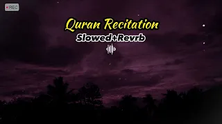 Most beautiful Quran recitation ||Slowed + Reverb || sheikh Abdul Rahman Mossad