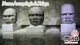 Museo de Antropología de Xalapa, Veracruz. Reportaje #21