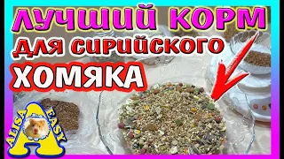 КАК СДЕЛАТЬ КОРМ ДЛЯ ХОМЯКА / МЕШАНИНА ДЛЯ СИРИЙСКОГО ХОМЯКА / Alisa Easy Pets